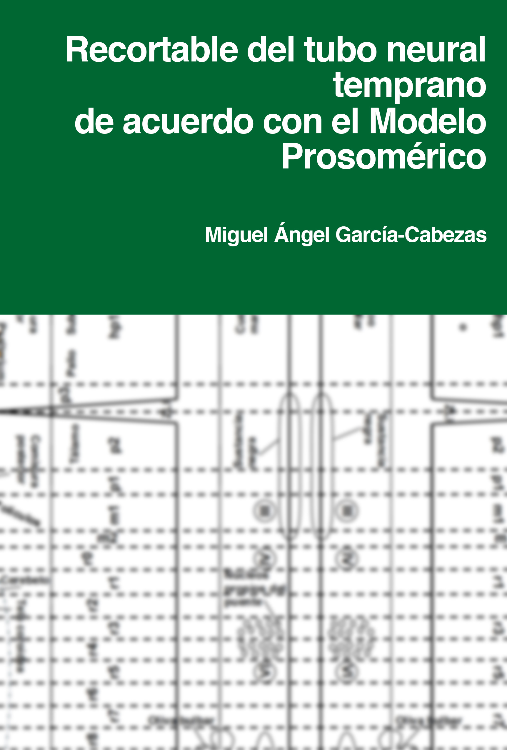 Portada del Recortable del tubo neural temprano Modelo Prosomérico