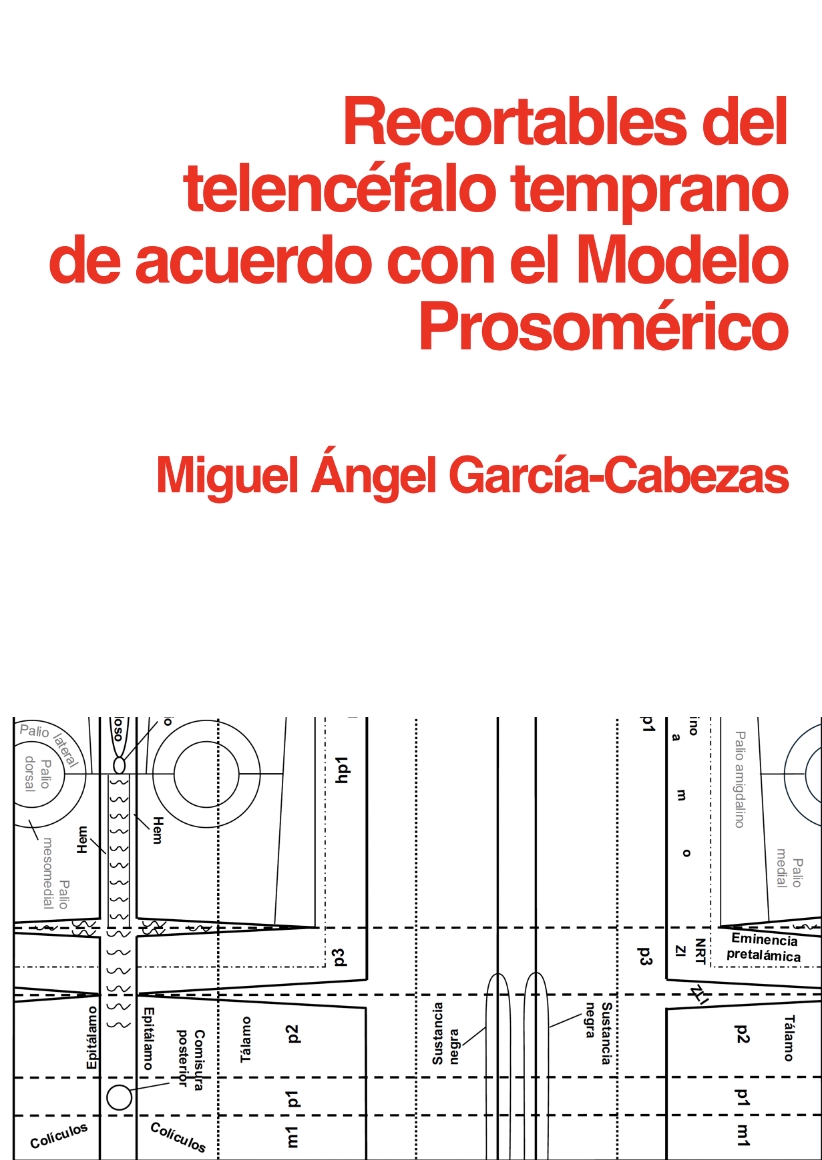 Portada del Recortable del telencéfalo temprano Modelo Prosomérico